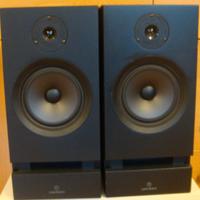 Linn Nexus  LS 250