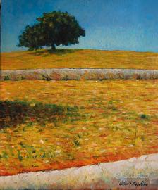 Dipinto olio\tela 40x50 pittore Antonio Napolino