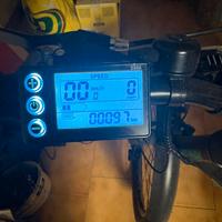 Bici elettrica