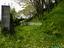 Immagine 23