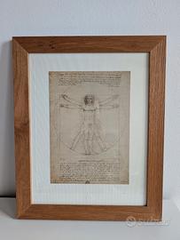 Quadro - stampa Fratelli Alinari uomo Vitruviano