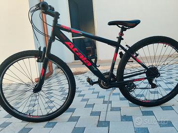 Atala Blister 29 