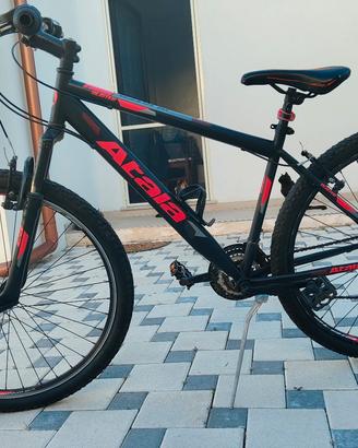Atala Blister 29 