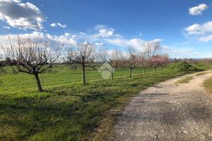 RUSTICO A CASTELBELFORTE