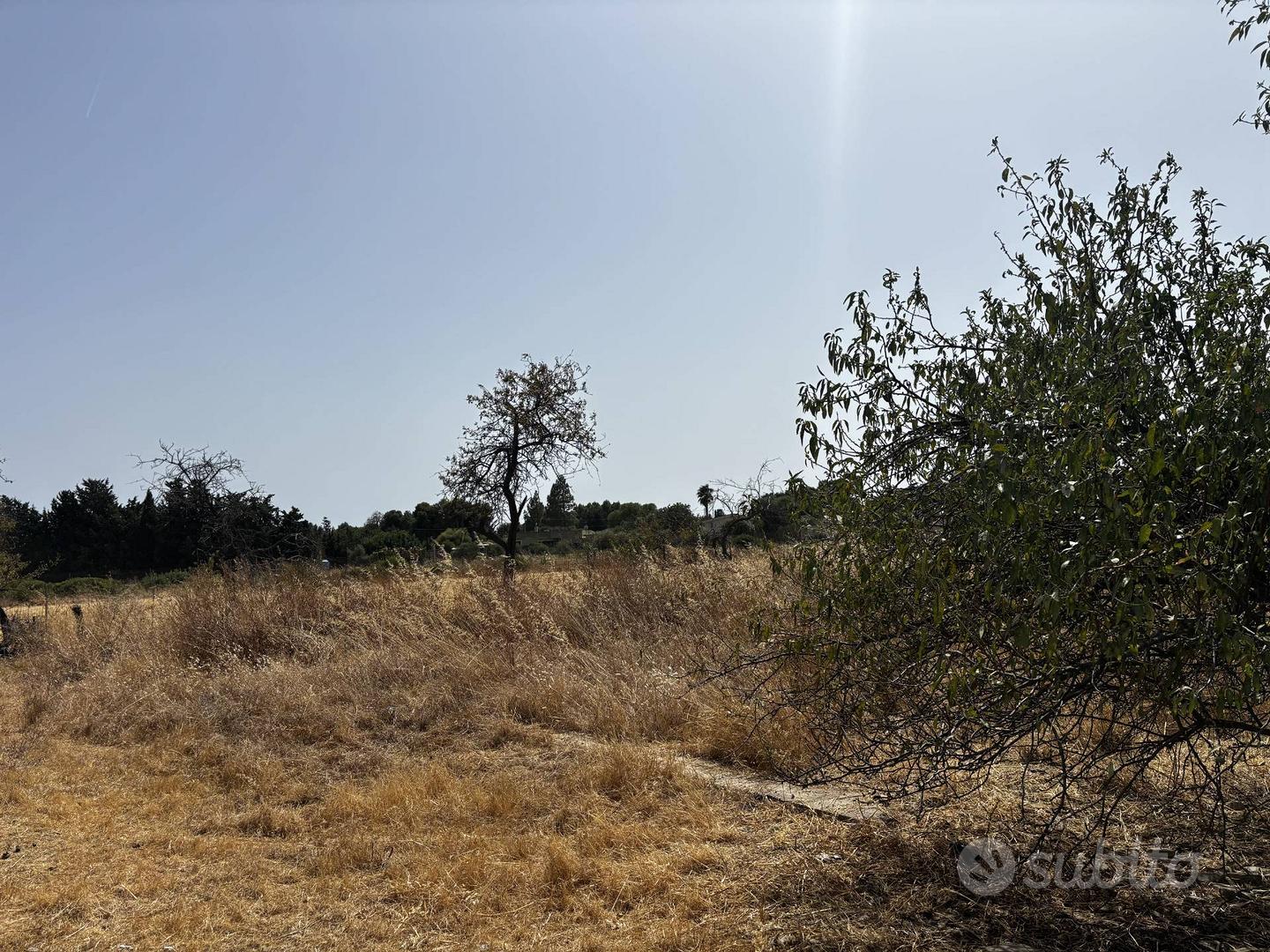 Terreno Agricolo - Quartu Sant'Elena - Vista 4