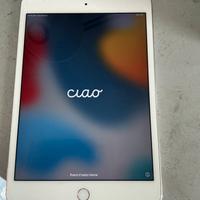 Apple Ipad mini 4 capienza 128gb