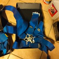 cinture rally scaduta omologazione