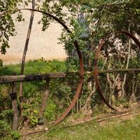 Cerchi in ferro  di vecchie botti