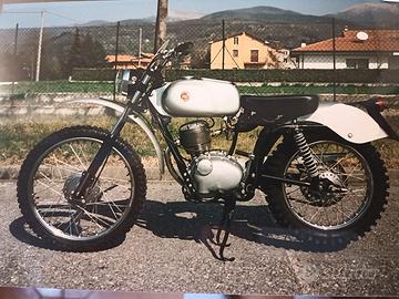 Gilera Regolarità casa