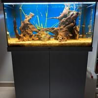 ACQUARIO NUOVISSIMO