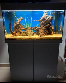 ACQUARIO NUOVISSIMO