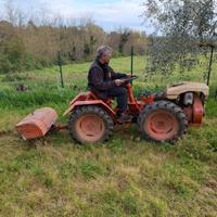 Trattore motocoltivatore pasquali 946 usato