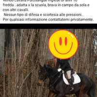 Cavalli