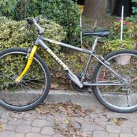 bici mtb 26"