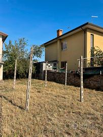 12 pali in cemento armato per agricoltura – usati