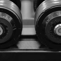 Attività di palestra ben avviata