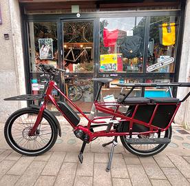 BICICLETTA CARGO ELETTRICA CON DOPPIA BATTERIA.