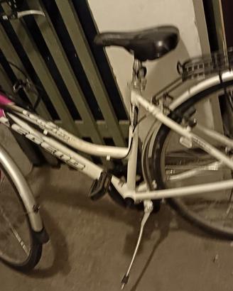 bicicletta donna 