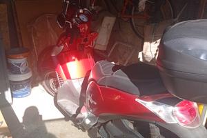 Scarabeo 300s