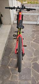 Mountain Bike Rock Raider  XC 120