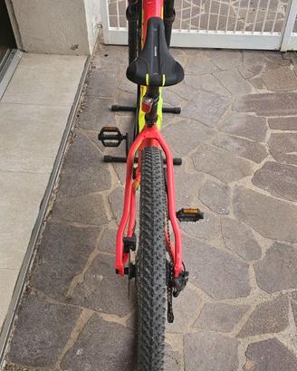 Mountain Bike Rock Raider  XC 120