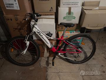 Bici da bambino cerchi 24
