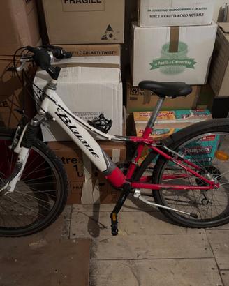 Bici da bambino cerchi 24