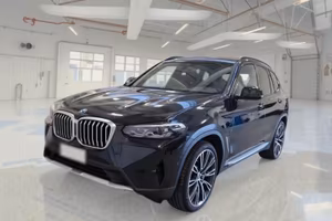 BMW X3 (G01/F97) X3 xDrive30e