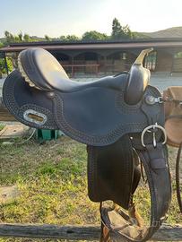 Sella americana barrel