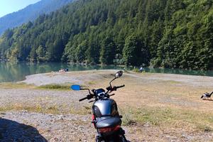 Triumph Trident 660 (2023) - Full Optional
