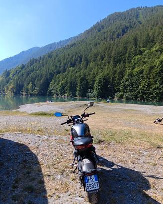 Triumph Trident 660 (2023) - Full Optional