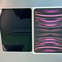 Ipad Pro 11 4th gen 128/256/512gb GARANZIA 1 ANNO