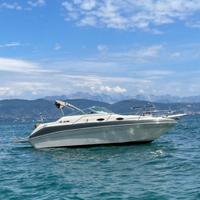 Sea ray 240