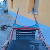 carrozza per cavalli di piccola taglia