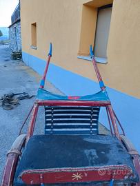 carrozza per cavalli di piccola taglia