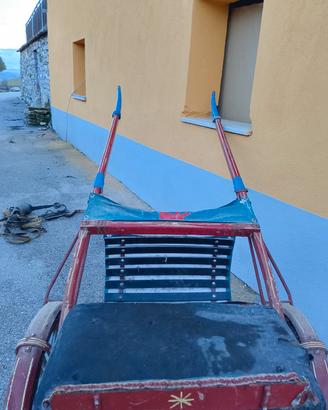 carrozza per cavalli di piccola taglia