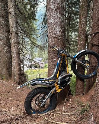 Trial sherco 300