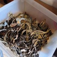 maniglie e ferramenta antichi per mobili