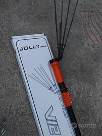 Abbacchiatore olive Jolly Italy v12 volt