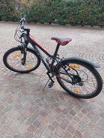 bici 24"