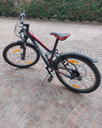 bici 24"