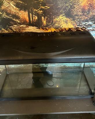 Acquario per pesci + base