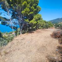 Terreno sul Mare per roulotte