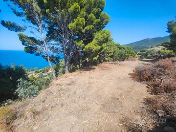 Terreno sul Mare per roulotte