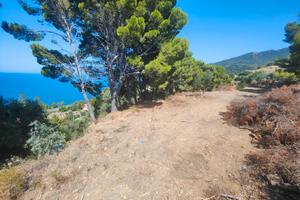 Terreno sul Mare per roulotte
