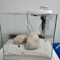 Acquario