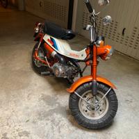 Suzuki 50 rv