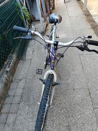 bicicletta 