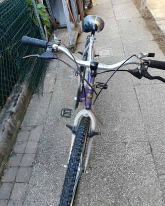 bicicletta 