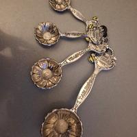 Set cucchiai misuratori decorativi